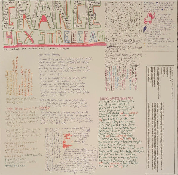 He's Got The Whole This Land Is Your Land In His Hands (VINYL) | Near Mint (NM) Near Mint (NM) - ALT/INDIE / USED *NEAR MINT*