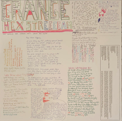 He's Got The Whole This Land Is Your Land In His Hands (VINYL) | Near Mint (NM) Near Mint (NM) - ALT/INDIE / USED *NEAR MINT*