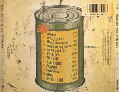 In Light Syrup (CD) | Near Mint (NM or M-) Near Mint (NM or M-) - ALT/INDIE / USED *NEAR MINT*