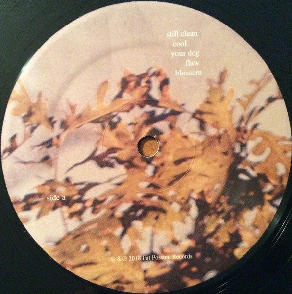 Clean (VINYL) | Near Mint (NM) Very Good Plus Plus (VG++) - ALT/INDIE / USED *NEAR MINT*