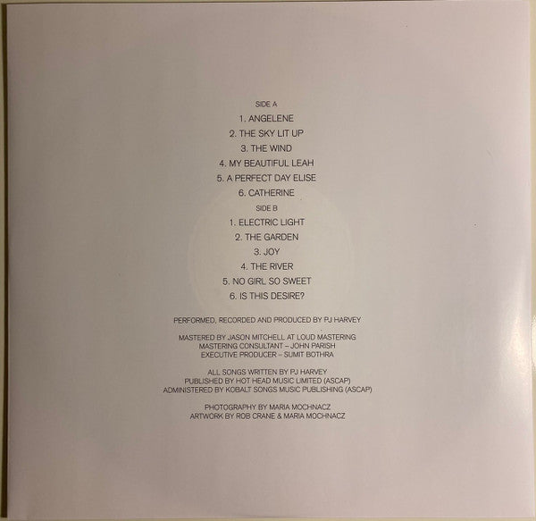 PJ Harvey - Is This Desire? - Demos | Near Mint (NM) Near Mint (NM) - ALT/INDIE / USED *NEAR MINT*