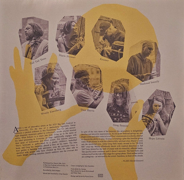 Live At Big Ears (VINYL) | Near Mint (NM) Near Mint (NM) - ALT/INDIE / USED *NEAR MINT*