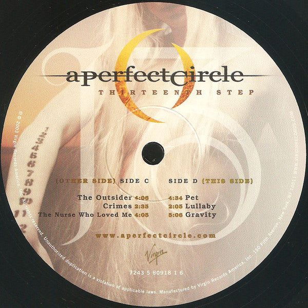 Thirteenth Step | Mint (M) Mint (M) - ALT/INDIE *SEALED*