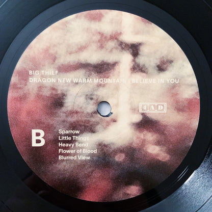 Dragon New Warm Mountain I Believe In You | Mint (M) Mint (M) - ALT/INDIE *SEALED*