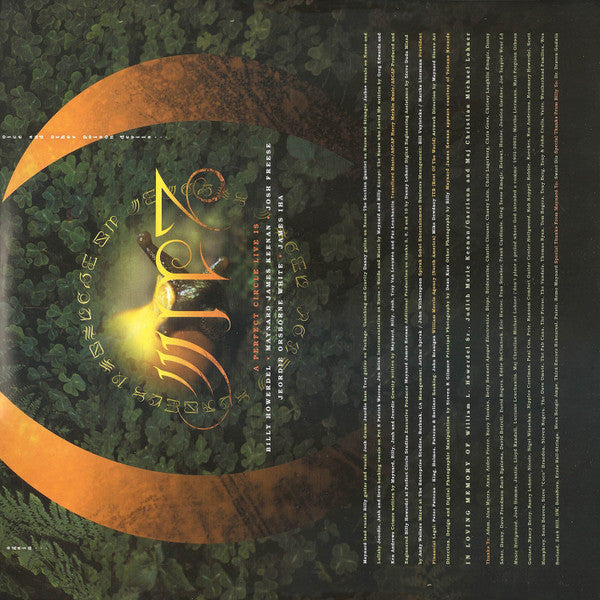 Thirteenth Step | Mint (M) Mint (M) - ALT/INDIE *SEALED*