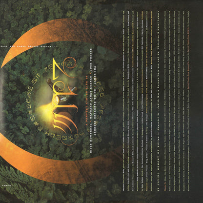 Thirteenth Step | Mint (M) Mint (M) - ALT/INDIE *SEALED*