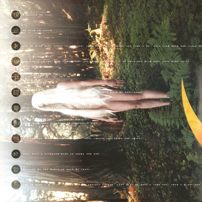 Thirteenth Step | Mint (M) Mint (M) - ALT/INDIE *SEALED*