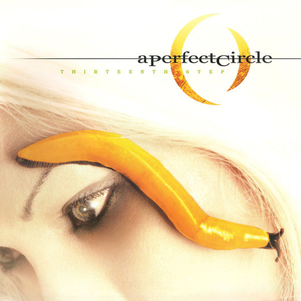 Thirteenth Step | Mint (M) Mint (M) - ALT/INDIE *SEALED*