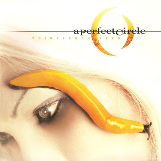 Thirteenth Step | Mint (M) Mint (M) - ALT/INDIE *SEALED*