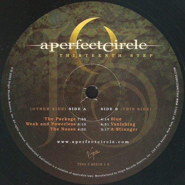 Thirteenth Step | Mint (M) Mint (M) - ALT/INDIE *SEALED*