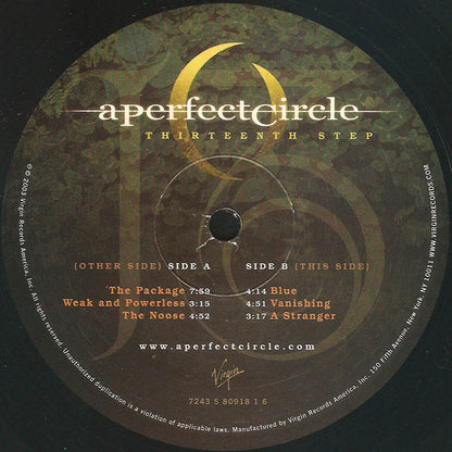 Thirteenth Step | Mint (M) Mint (M) - ALT/INDIE *SEALED*