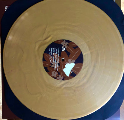 Noise Floor (Rarities: 1998-2005) | Mint (M) Mint (M) - ALT/INDIE
