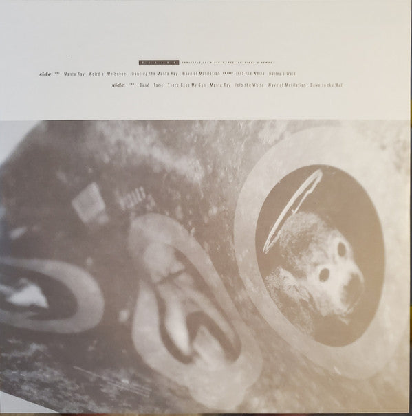 Doolittle 25 | Mint (M) Mint (M) - ALT/INDIE *SEALED*