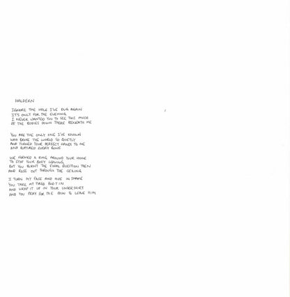 Ants From Up There | Mint (M) Mint (M) - ALT/INDIE *SEALED*