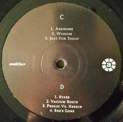 The Brian Jonestown Massacre - Tepid Peppermint Wonderland: A Retrospective (Volume One) | Mint (M) Mint (M) - ALT/INDIE