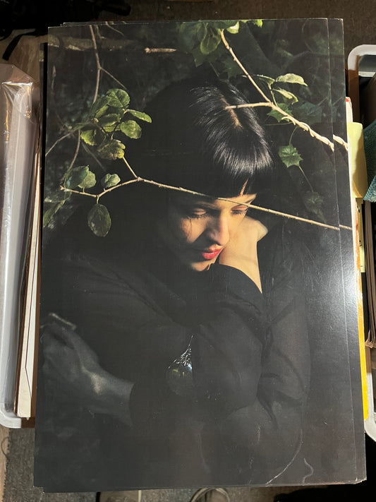 Maria Zardoya / Not For Radio - Melt 2025 Album Poster Litho 11" x 17" The Marias | - ALT/INDIE*