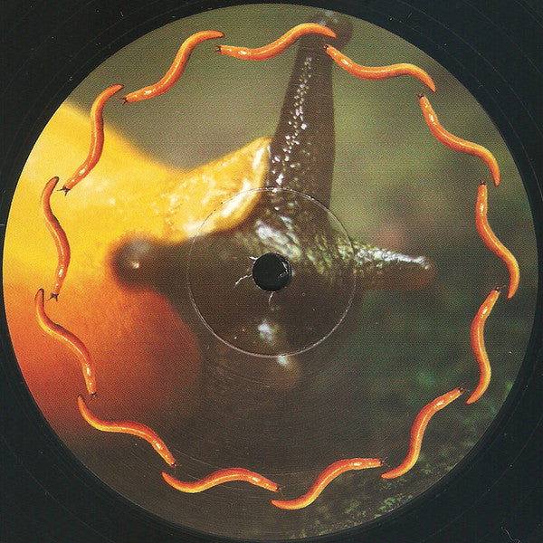 Thirteenth Step | Mint (M) Mint (M) - ALT/INDIE *SEALED*