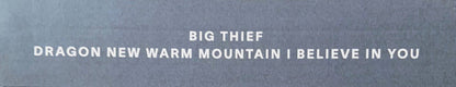 Dragon New Warm Mountain I Believe In You | Mint (M) Mint (M) - ALT/INDIE *SEALED*