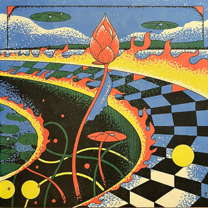 Vinyl Moon Volume 097: The Pond Beyond | Mint (M) Mint (M) - ALT/INDIE