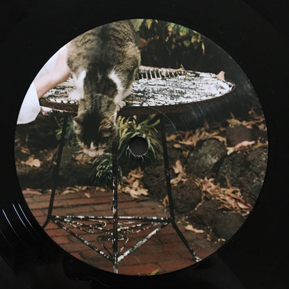 Look Up Sharp | Mint (M) Mint (M) - ALT/INDIE *SEALED*