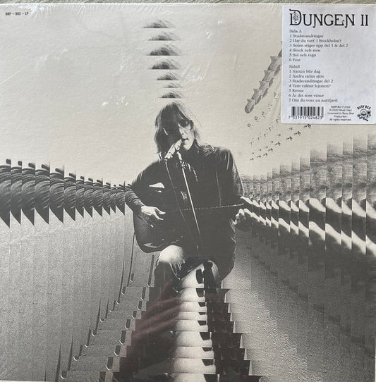 Dungen - II | Mint (M) Mint (M) - ALT/INDIE