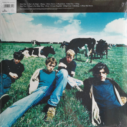 Leisure | Mint (M) Mint (M) - ALT/INDIE *SEALED*