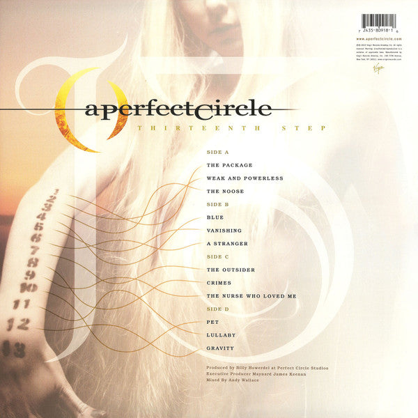 Thirteenth Step | Mint (M) Mint (M) - ALT/INDIE *SEALED*