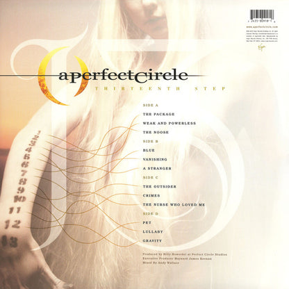 Thirteenth Step | Mint (M) Mint (M) - ALT/INDIE *SEALED*