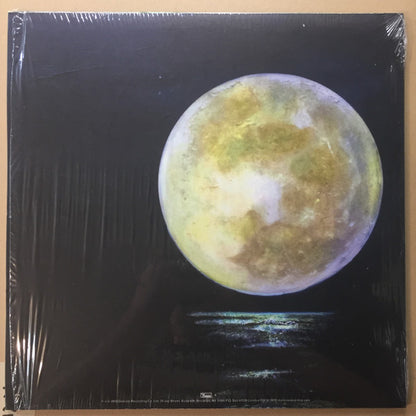 Beach Music | Mint (M) Mint (M) - ALT/INDIE *SEALED*