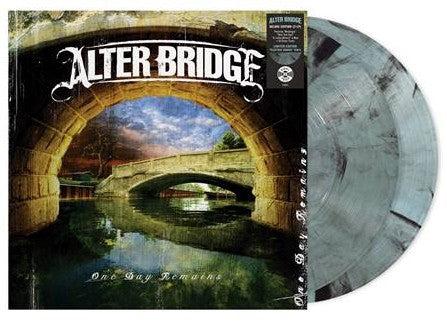 One Day Remains (Indie Exclusive, Deluxe Edition, Smoke Colored Vinyl, Anniversary Edition) (2 Lp's) |