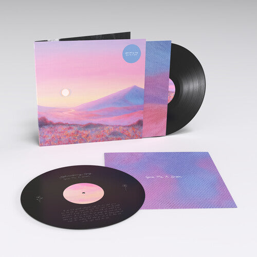 Strawberry Guy - Give Me A Dream (180g ETCHED VINYL 2xLP) | NEW - ALTERNATIVE *NEW/ETCHED*