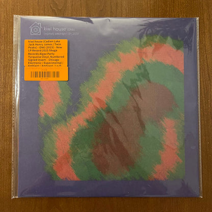 kiwi house: ONE (TURQUOISE VINYL) | Mint (M) Mint (M) - AMBIENT *NEW/COLOR*