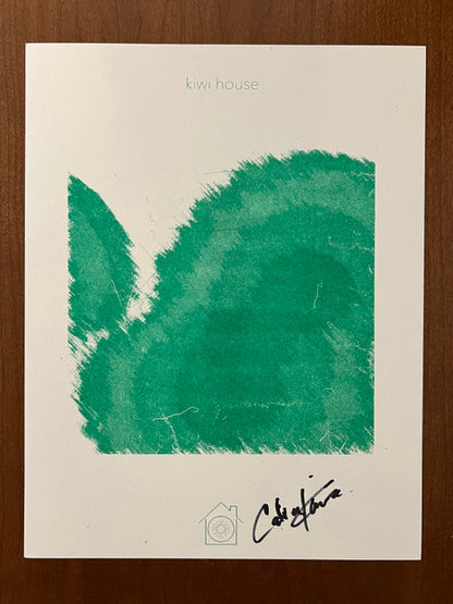kiwi house: ONE (TURQUOISE VINYL) | Mint (M) Mint (M) - AMBIENT *NEW/COLOR*