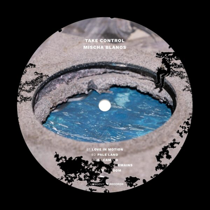 (PRESALE 4/20/26) Take Control (WHITE VINYL) | Mint (M) Mint (M) - AMBIENT *NEW/COLOR*