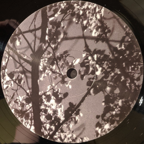 Königsforst | Mint (M) Mint (M) - AMBIENT *SEALED*