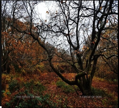 Fields of Hay - (PRESALE 7/3/26) A Circle of Skin (CD) | Mint (M) Mint (M) - AMBIENT *NEW*