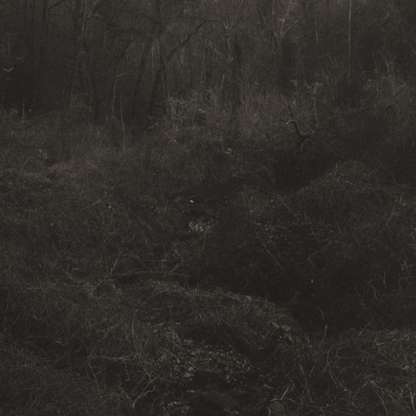Lesley Mok - (PRESALE 7/17/26) transient (DDL VINYL) | Mint Mint - AMBIENT *NEW*