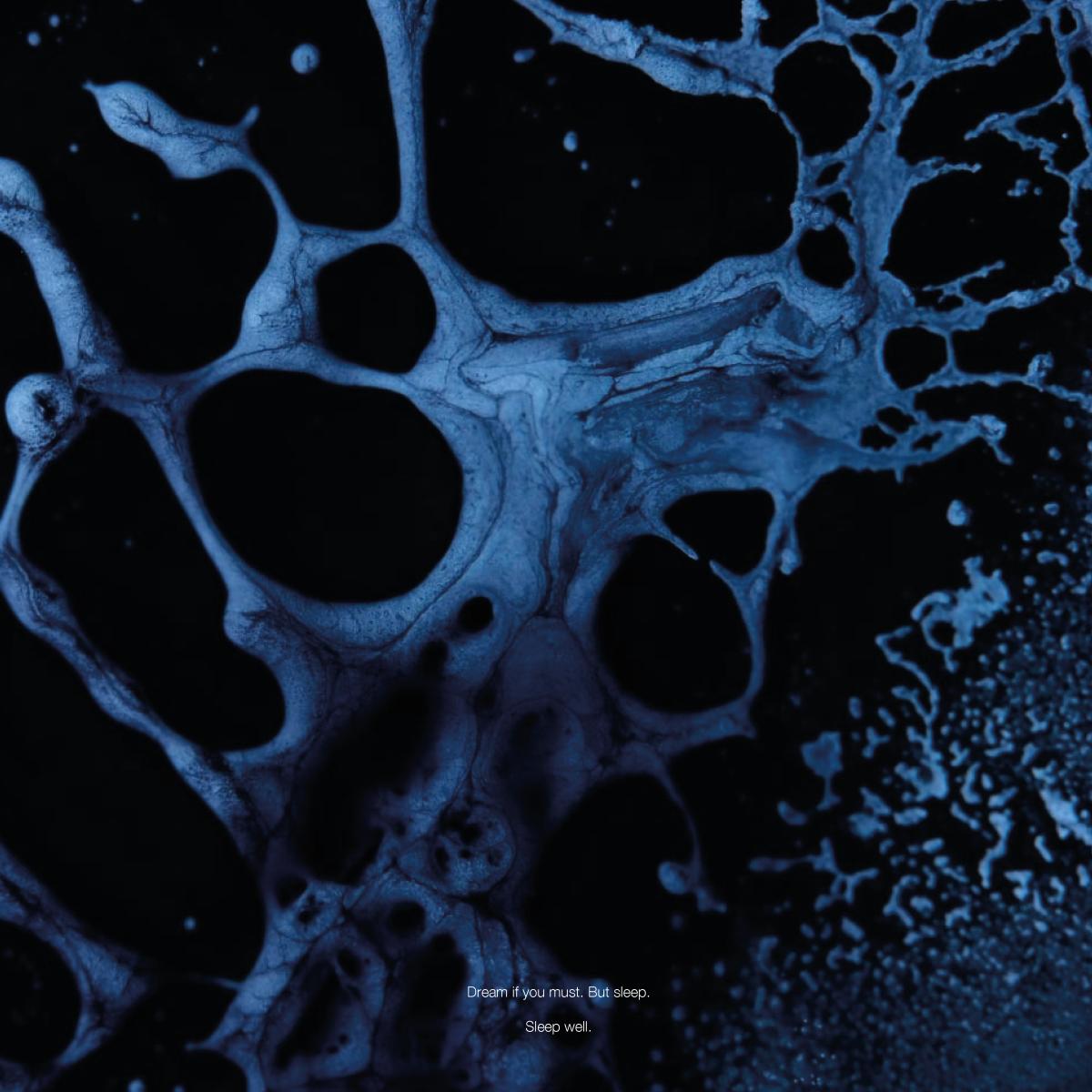 Blazej Malinowski - (PRESALE 10/16/26) Nocturnal Shadows (VINYL 2xLP Inner Tension) | NEW - AMBIENT *NEW*