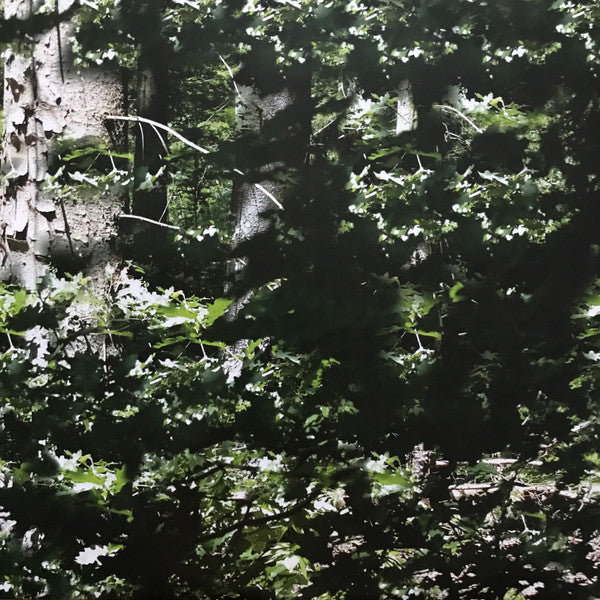 Gas - Der Lange Marsch | Mint (M) Mint (M) - AMBIENT *NEW*