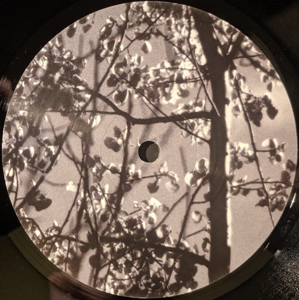 Königsforst | Mint (M) Mint (M) - AMBIENT *SEALED*