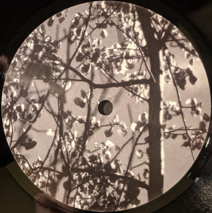 Königsforst | Mint (M) Mint (M) - AMBIENT *SEALED*