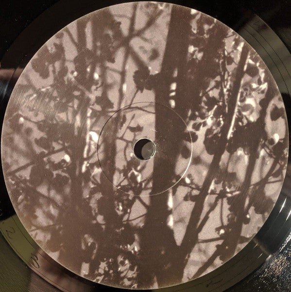 Königsforst | Mint (M) Mint (M) - AMBIENT *SEALED*