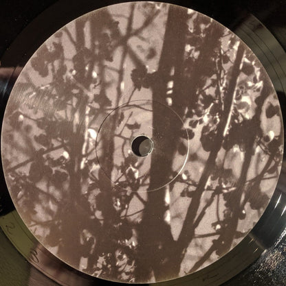 Königsforst | Mint (M) Mint (M) - AMBIENT *SEALED*