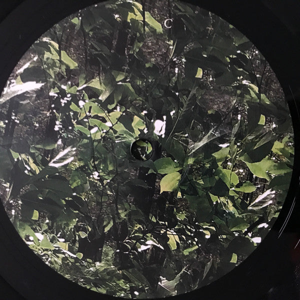 Gas - Der Lange Marsch | Mint (M) Mint (M) - AMBIENT *NEW*