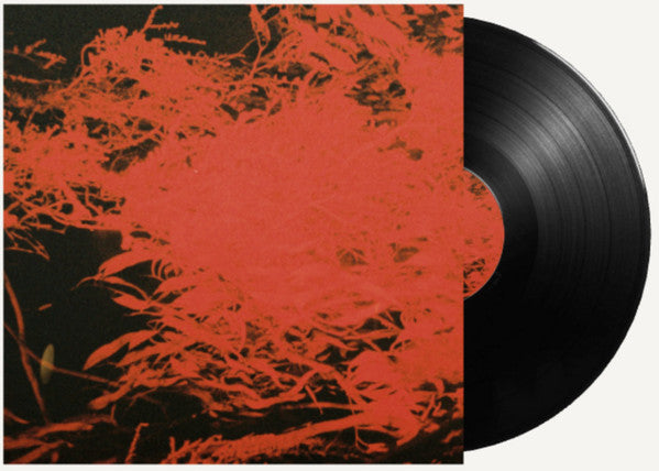 In Studio Magic (VINYL) | Mint (M) Mint (M) - AMBIENT *NEW*