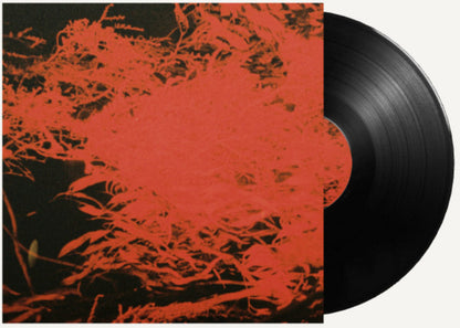 In Studio Magic (VINYL) | Mint (M) Mint (M) - AMBIENT *NEW*