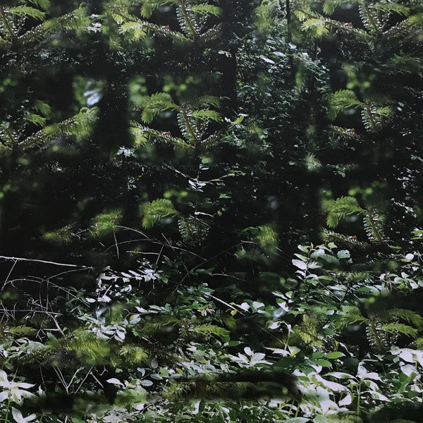 Gas - Der Lange Marsch | Mint (M) Mint (M) - AMBIENT *NEW*