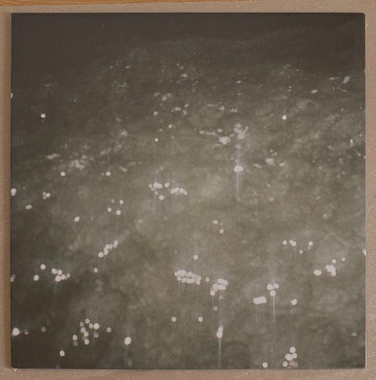 Sirene (VINYL) | - AMBIENT *NEW*
