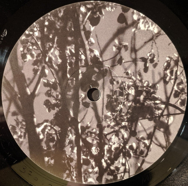 Königsforst | Mint (M) Mint (M) - AMBIENT *SEALED*