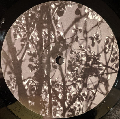 Königsforst | Mint (M) Mint (M) - AMBIENT *SEALED*